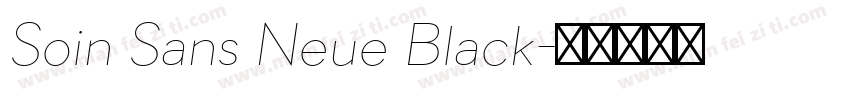 Soin Sans Neue Black字体转换